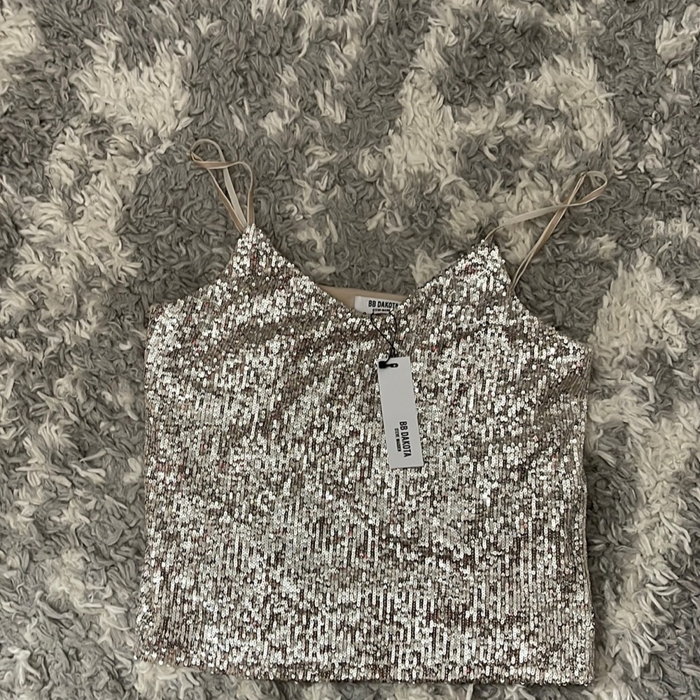 Sequin crop top blouse